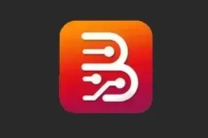 Borneo Schematics 2 Users (3 Months) Activation/Renew Code